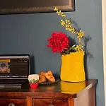Daire Entire Stylish Colourful Two Bed Flat In Clifton *